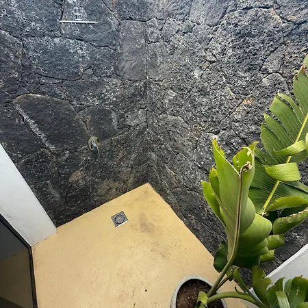 Elements * 拉哈雷斯