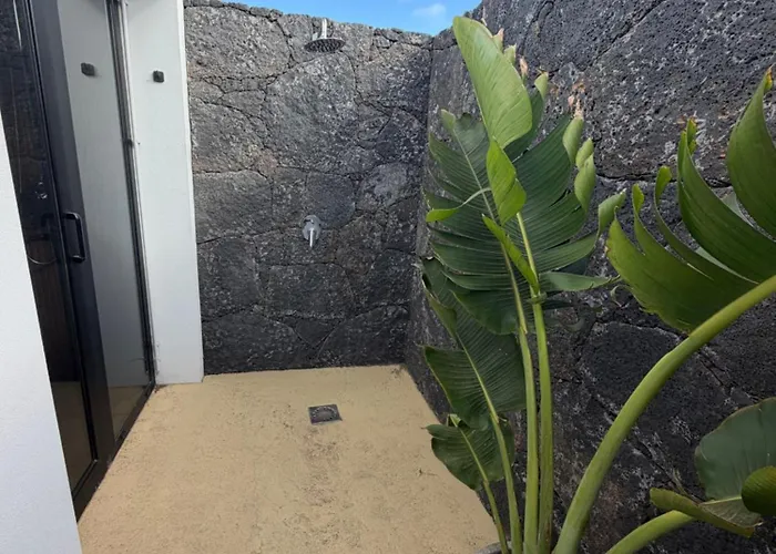 Elements 라하레스